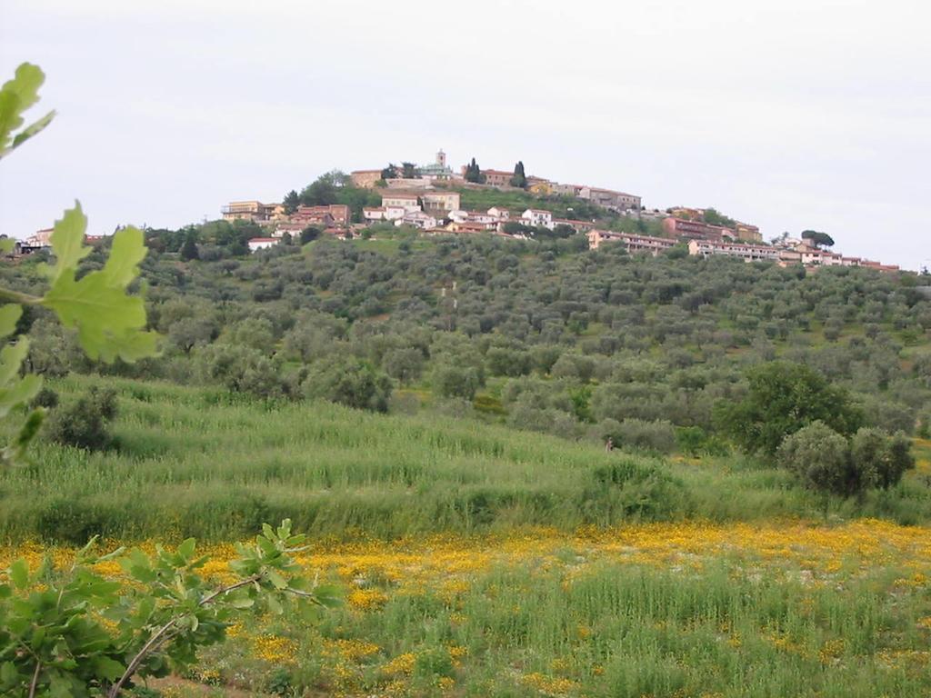 Agriturismo Vigna Mai Мальяно-ин-Тоскана Экстерьер фото