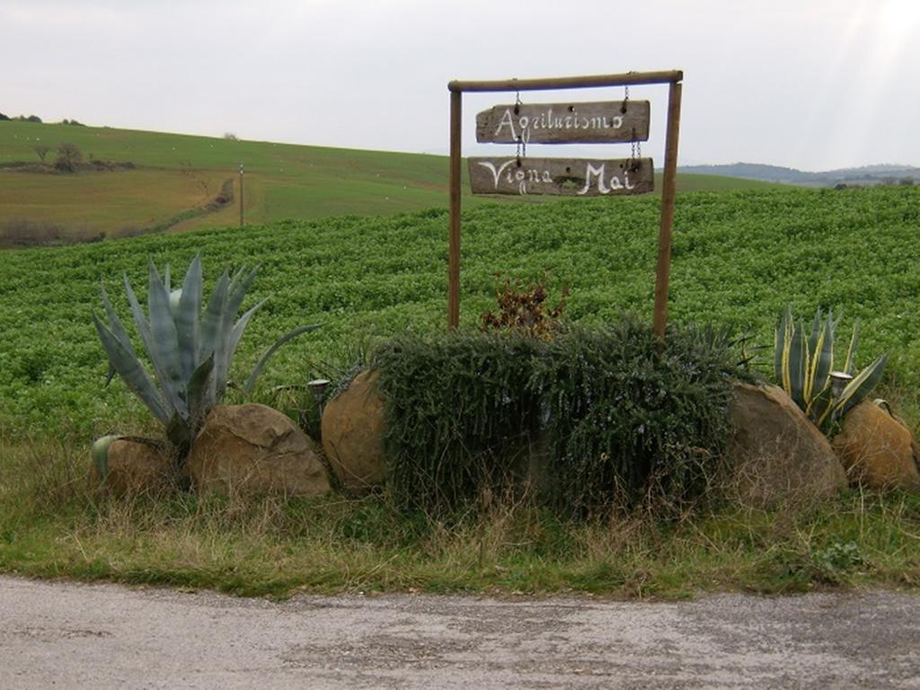 Agriturismo Vigna Mai Мальяно-ин-Тоскана Экстерьер фото